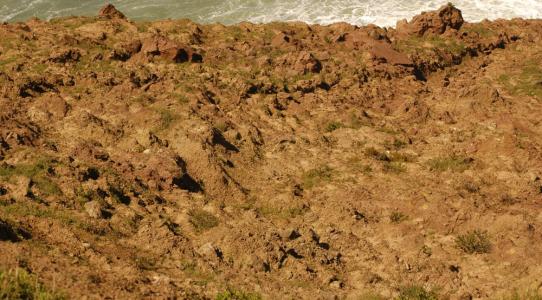 土壤水分測(cè)定儀