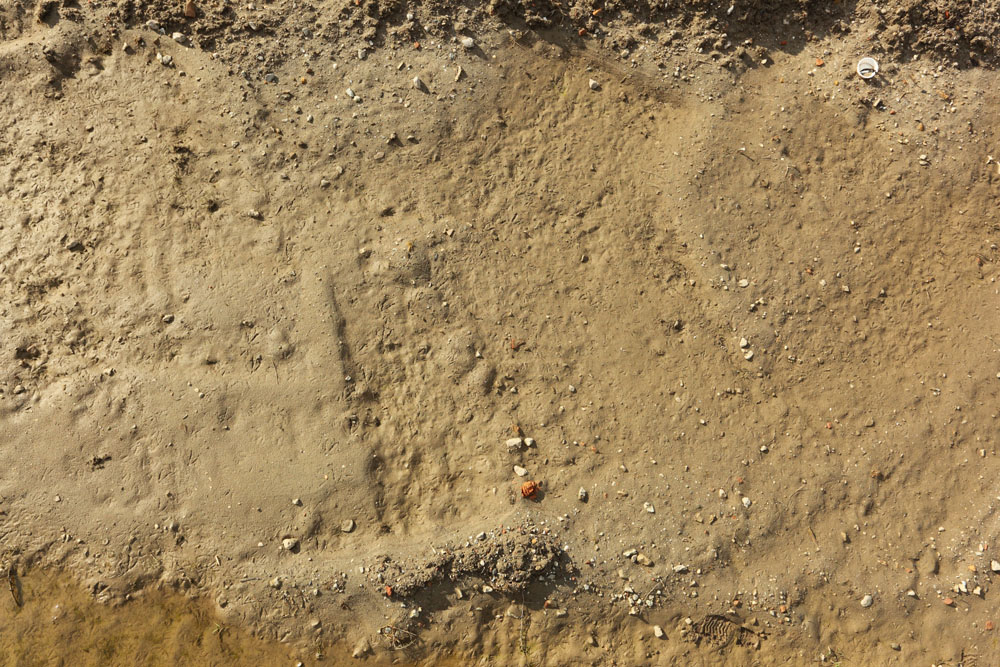 土壤水分測(cè)定儀讓蔬菜“喝飽”